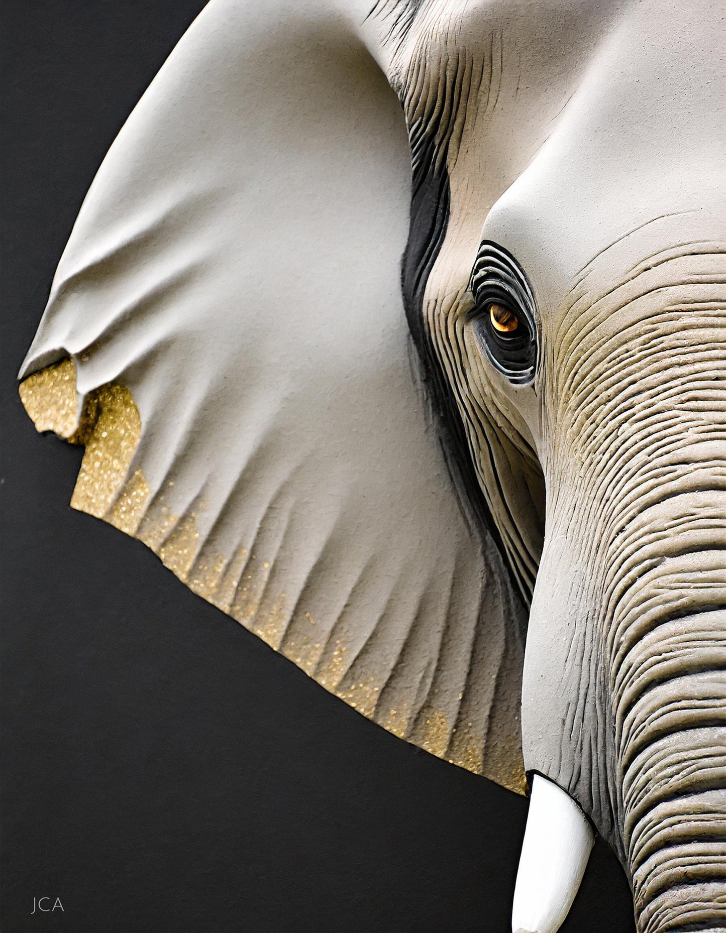 Elephant Up Close