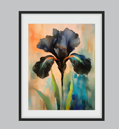 Black Iris