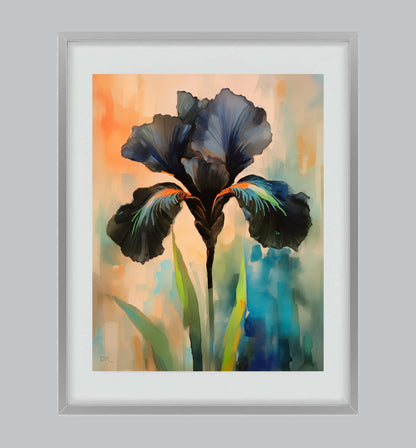 Black Iris